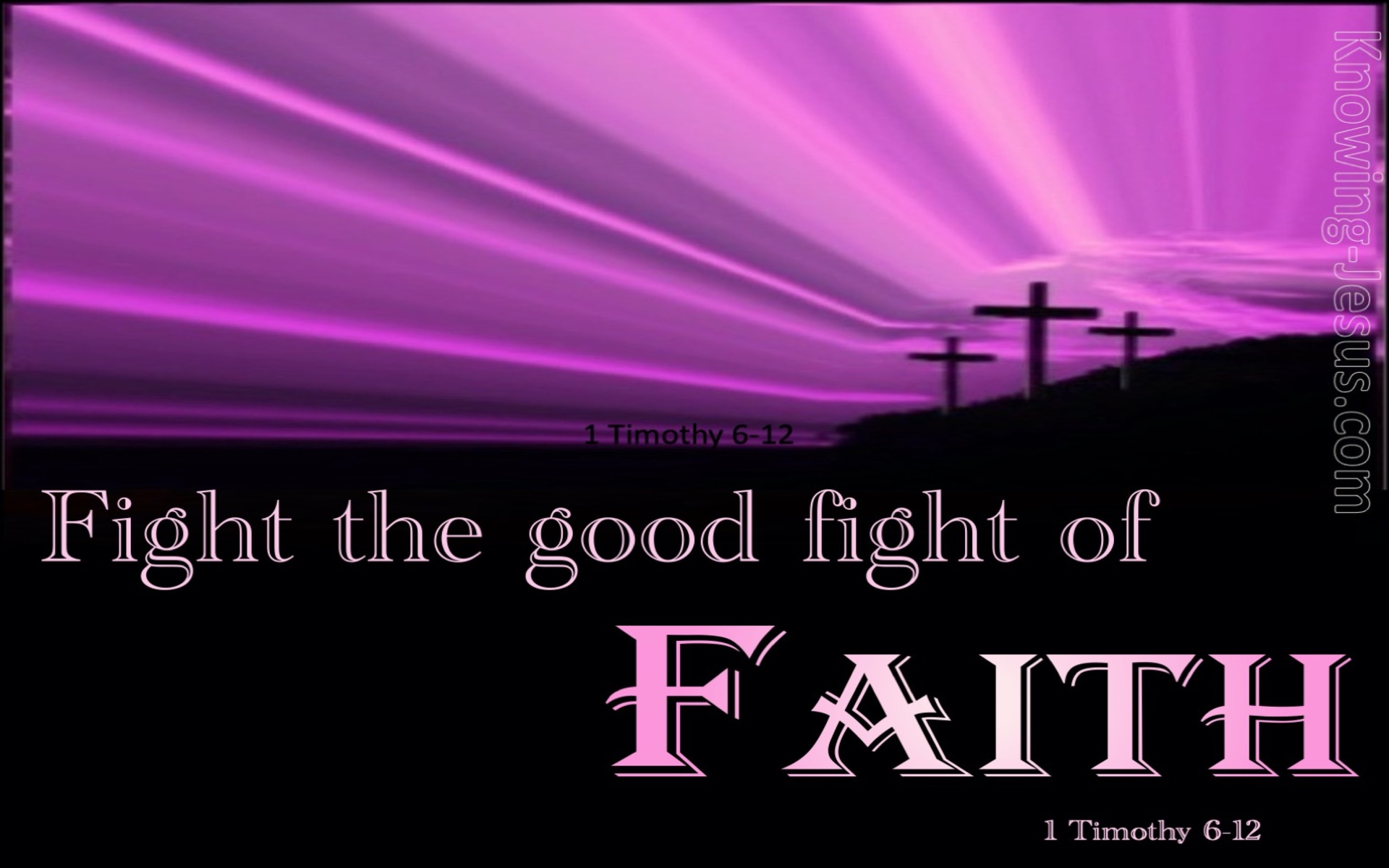 1 Timothy 6:12 Fight the Good Fight of Faith (purple)